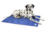 Scruffs Cooling Mat blue