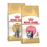 Royal Canin Breed Kat Droogvoer 10 kg