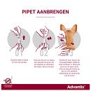 Advantix 600 4 pipetten