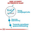 Royal Canin hondenvoer Giant Junior 3,5 kg