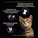 Pro Plan kattenvoer Junior Nutrisavour Kalkoen 10 x 85 gr