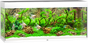 Juwel aquarium Rio 240 LED wit