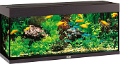 Juwel aquarium Rio 240 LED zwart