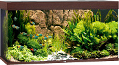 Juwel aquarium Rio 350 LED donkerbruin