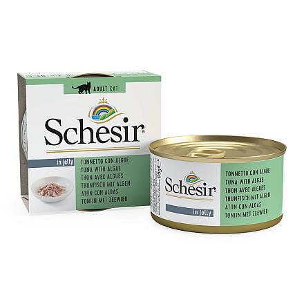 Schesir Kattenvoer Tonijn/Zeewier Gelei<br> 85 gr