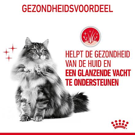 Royal Canin kattenvoer Hair & Skin Care 400 gr