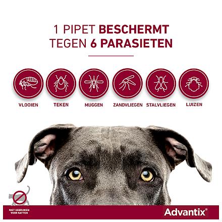 Advantix 600 6 pipetten